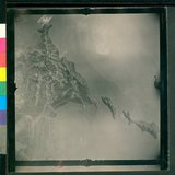 ���Ƚs��:12-1195