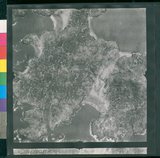 ���Ƚs��:12-1266