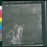 ���Ƚs��:12-1266