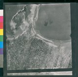 ���Ƚs��:12-1266