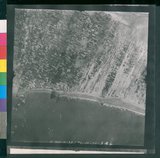 ���Ƚs��:12-1266