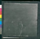 ���Ƚs��:12-1266