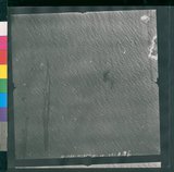 ���Ƚs��:12-1266