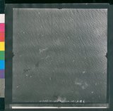 ���Ƚs��:12-1266