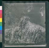 ���Ƚs��:12-1266