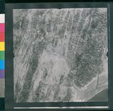 ���Ƚs��:12-1266