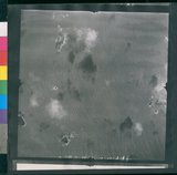 ���Ƚs��:12-1266