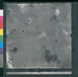 ���Ƚs��:12-1266