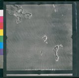 ���Ƚs��:12-1266