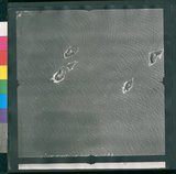 ���Ƚs��:12-1266