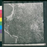 ���Ƚs��:12-1266