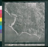 ���Ƚs��:12-1266