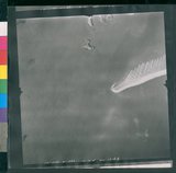 ���Ƚs��:12-1266