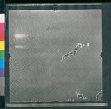 ���Ƚs��:12-1266