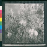 ���Ƚs��:12-1266