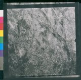 ���Ƚs��:12-1266