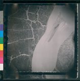 ���Ƚs��:12-1311