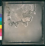 ���Ƚs��:12-1318