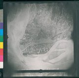 ���Ƚs��:12-1324