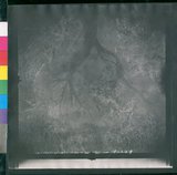 ���Ƚs��:12-1327