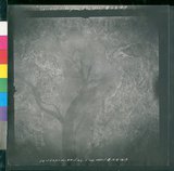 ���Ƚs��:12-1327