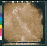 ���Ƚs��:12-1346