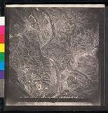 ���Ƚs��:12-1365-VV