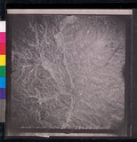 ���Ƚs��:12-1365-VV