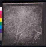 ���Ƚs��:12-1365-VV