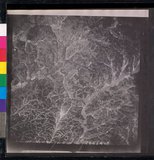 ���Ƚs��:12-1365-VV