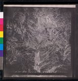 ���Ƚs��:12-1365-VV