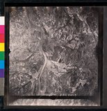 ���Ƚs��:12-1365-VV