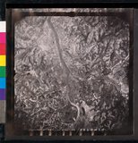 ���Ƚs��:12-1365-VV