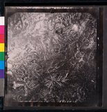 ���Ƚs��:12-1365-VV