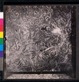 ���Ƚs��:12-1365-VV