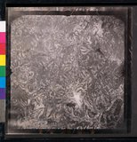 ���Ƚs��:12-1365-VV