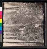 ���Ƚs��:12-1365-VV