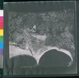 ���Ƚs��:12-1396