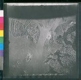 ���Ƚs��:12-1396