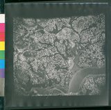 ���Ƚs��:12-1396