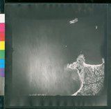 ���Ƚs��:12-1396