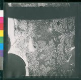 ���Ƚs��:12-1396