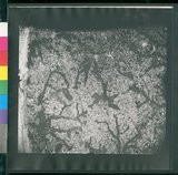 ���Ƚs��:12-1396