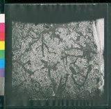 ���Ƚs��:12-1396