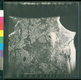 ���Ƚs��:12-1396