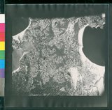 ���Ƚs��:12-1396