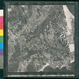 ���Ƚs��:12-1397