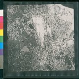 ���Ƚs��:12-1397