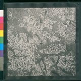 ���Ƚs��:12-1397