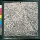 ���Ƚs��:12-1397